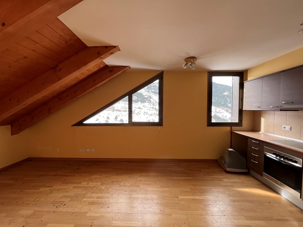 PENTHOUSE WITH PARKING IN LA VALL DE BOÍ